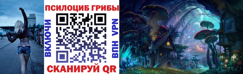 Псилоцибиновые грибы Cubensis  Нижний Тагил 