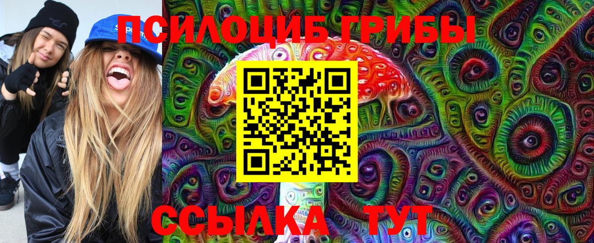 как найти наркотики  Вход с VPN  Нижний Тагил  Псилоцибиновые грибы MAGIC MUSHROOMS 