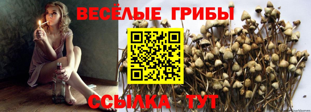 Псилоцибиновые грибы мицелий Нижний Тагил