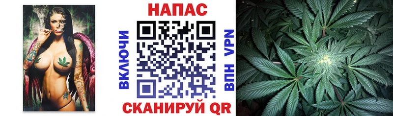 Шишки марихуана марихуана купить наркотики сайты дарк нет наркотические препараты Нижний Тагил